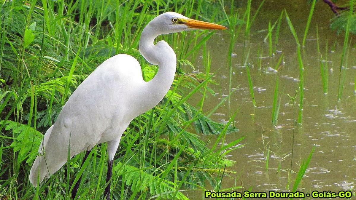 Pousada Serra Dourada Goiás Kültér fotó